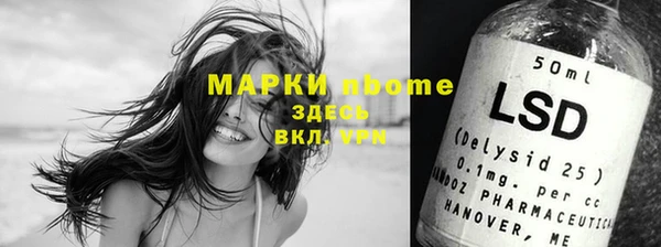 эйфоретик Бородино