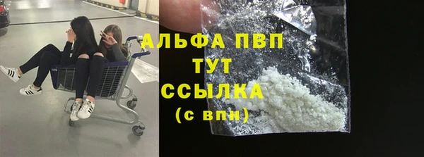 эйфоретик Бородино