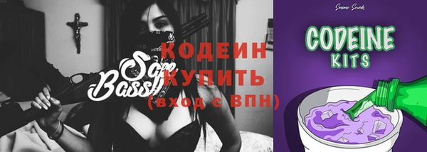 эйфоретик Бородино