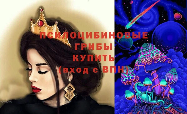 спиды Бугульма